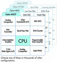 Figure 1. PSoC allows you to choose one of these or thousands of other configurations